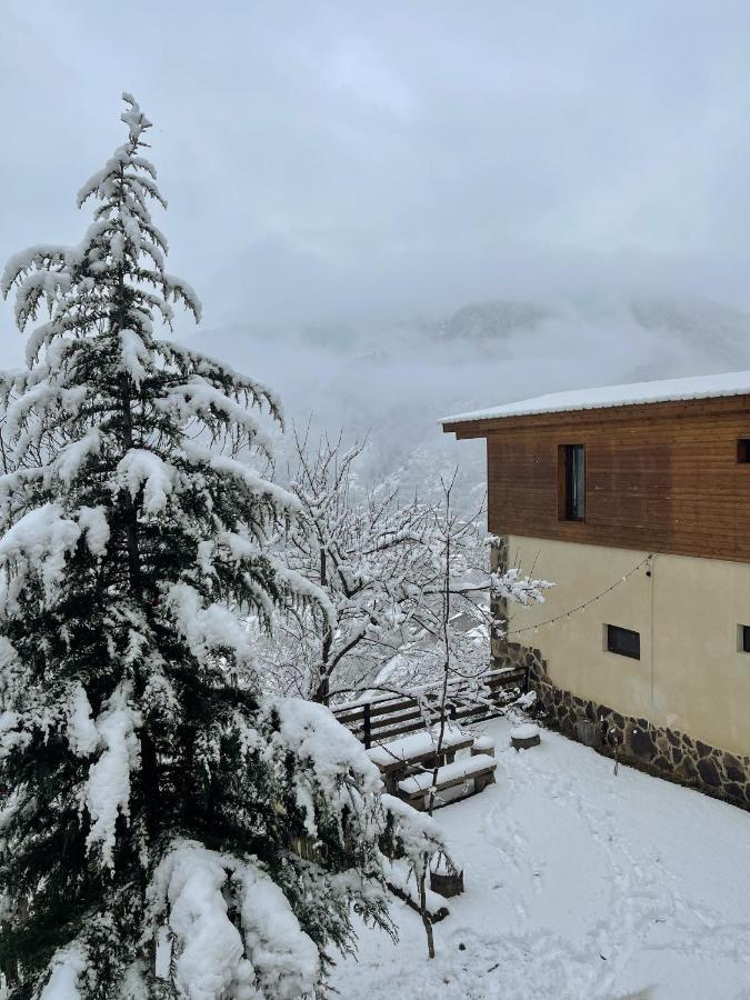 Guest House On Meskheti Borjomi Eksteriør billede