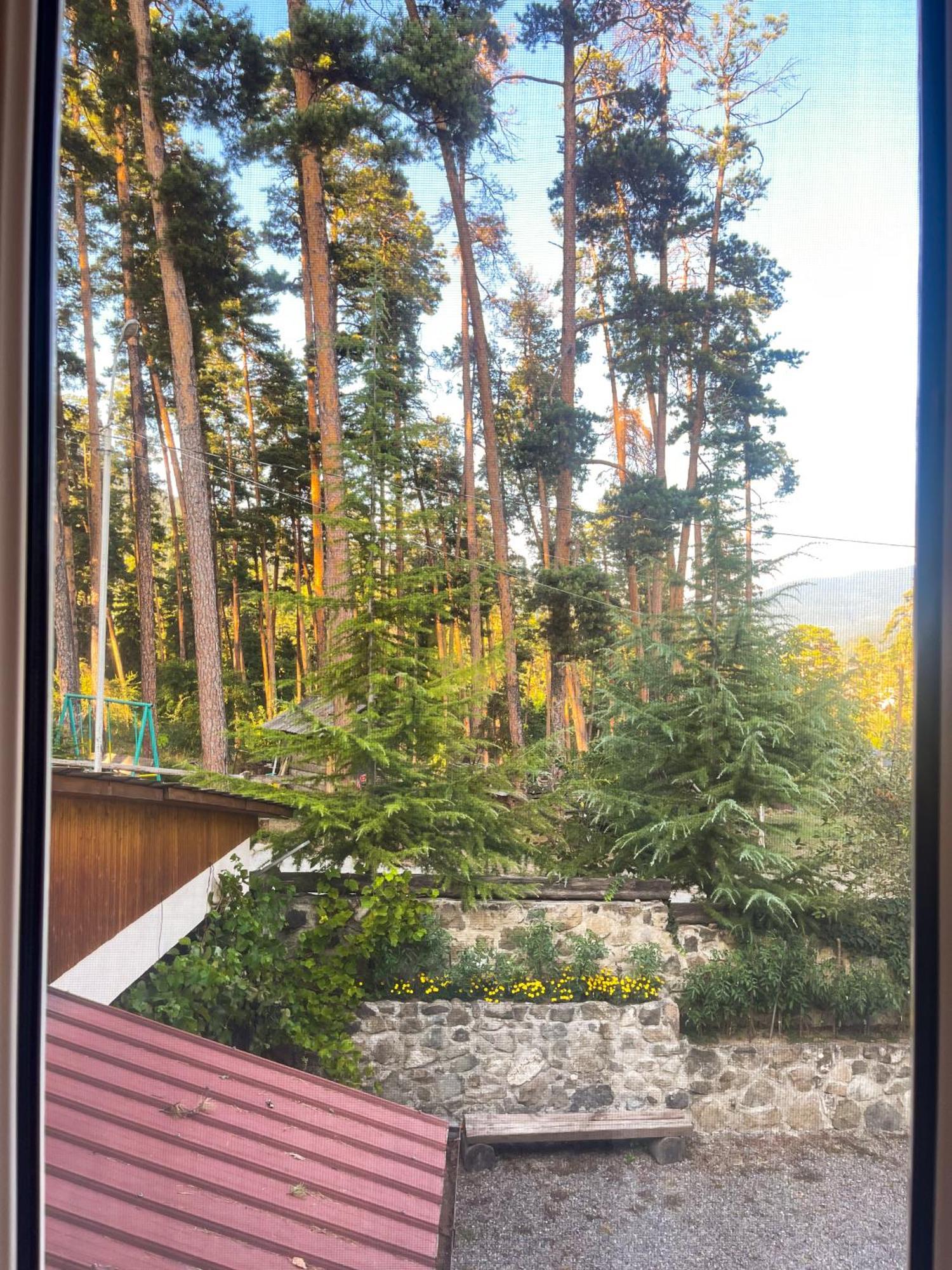 Guest House On Meskheti Borjomi Værelse billede