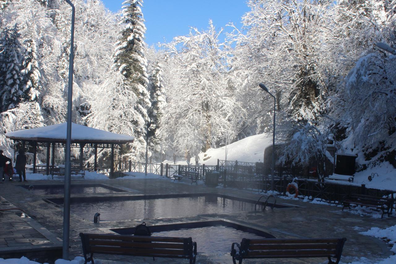 Guest House On Meskheti Borjomi Eksteriør billede