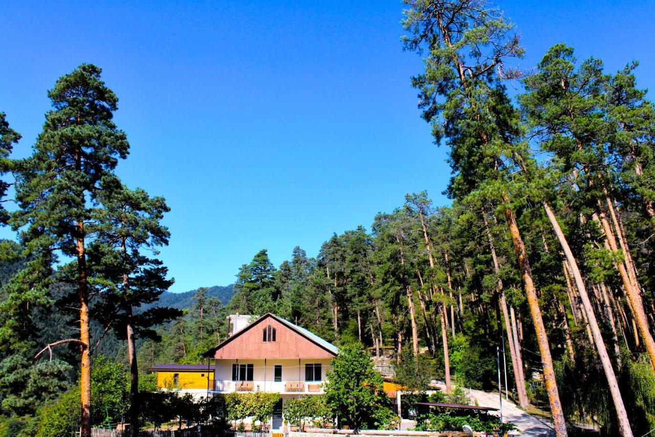 Guest House On Meskheti Borjomi Eksteriør billede